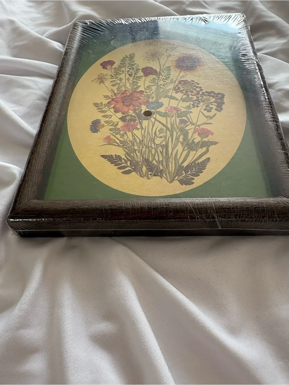 Vintage wildflower art illustration print framed home decor wall hanging new